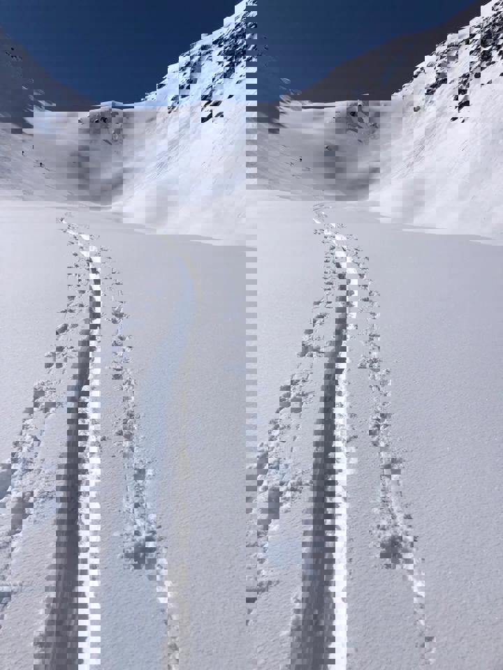 Img 20221214 Wa0018